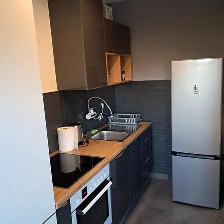 Apartment Novi *